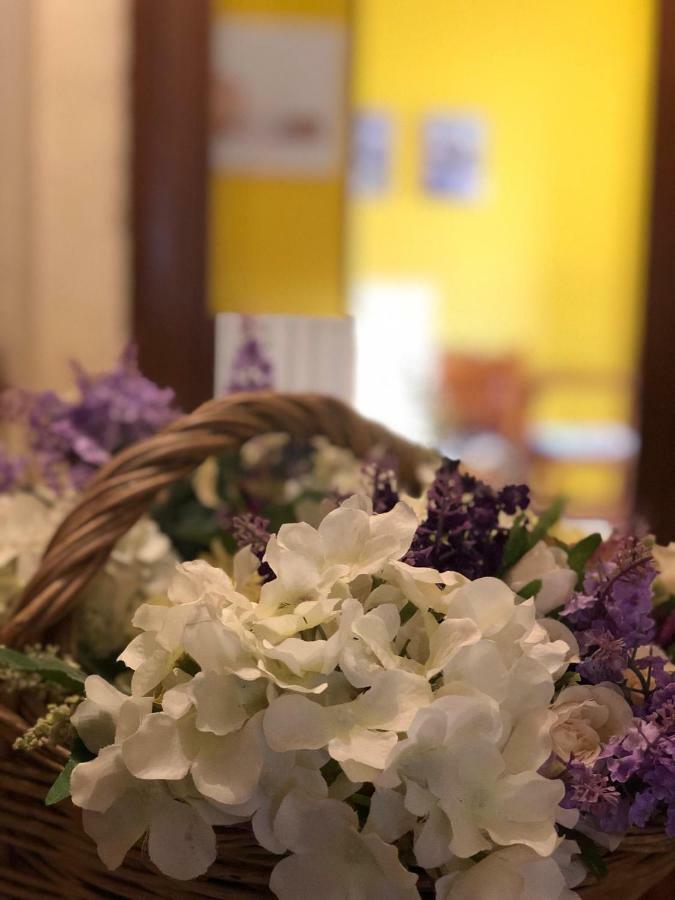 Le Casette Di Civitella La Casa Di Nonna Giulia Civitella Del Lago エクステリア 写真